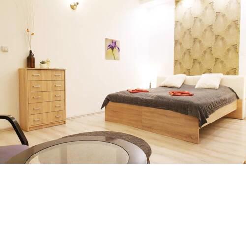 The Blaha One Bedroom Apartment with AC